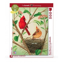 500Pcs - Cornell Lab - Northen Cardinals