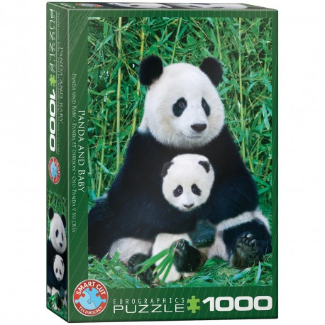 1000 P Panda et son bébé
