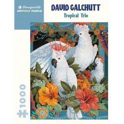 1000P David Galchutt - Tropical Trio