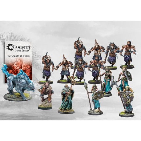 Nords: First Blood Warband JUIN 2024