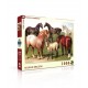 1000Pcs Vintage collection - Horse breeds